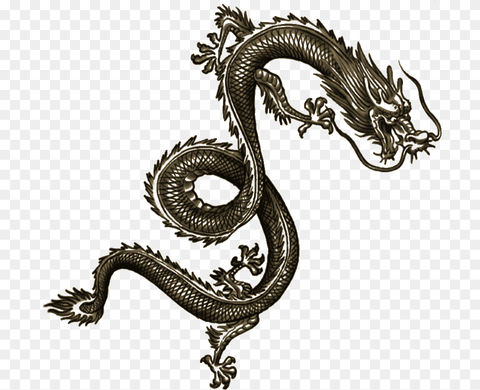 Wei Shen Tatt Dragon Tattoo Arm Chinese Dragon Tattoo, Pattern, Animal, Dinosaur, Reptile Free Png Download