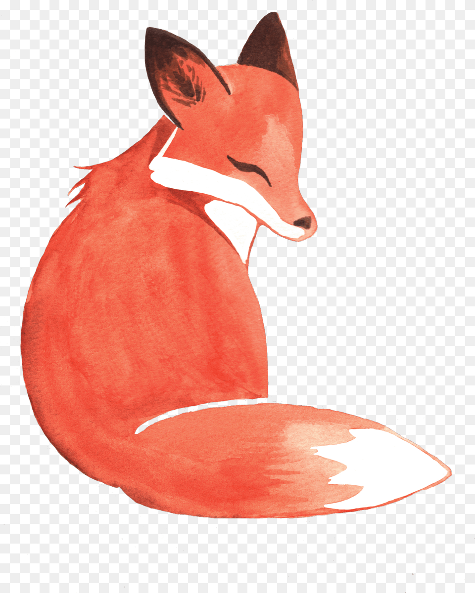 Weileash Available On Redbubble Transparent Watercolor Fox Clipart, Animal, Mammal, Wildlife, Bird Png