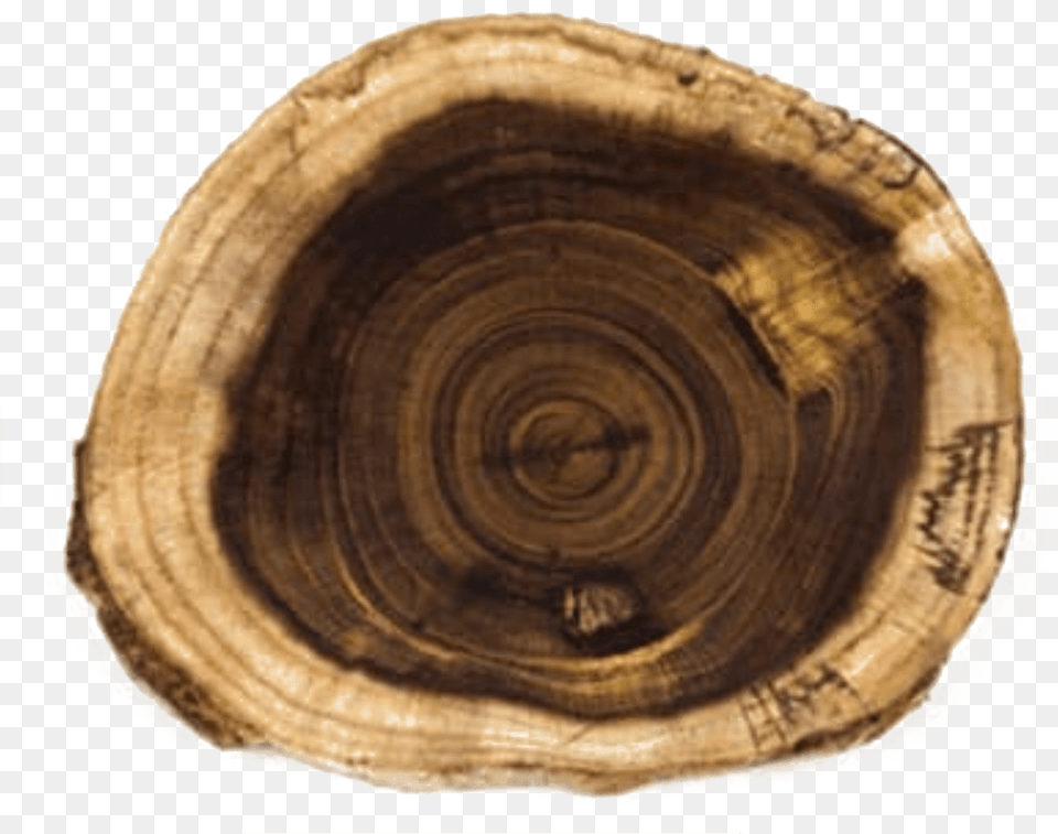 Weinholz Holz Mit Schner Maserung, Plant, Tree, Wood, Tree Trunk Png Image