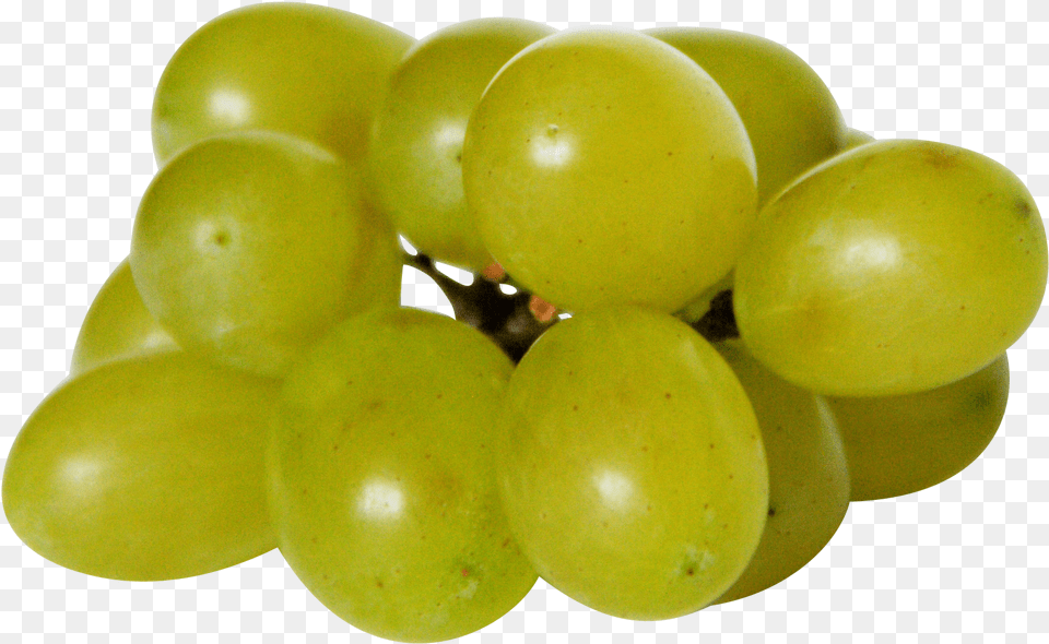 Weintrauben Fr Hunde Giftig, Food, Fruit, Grapes, Plant Free Transparent Png