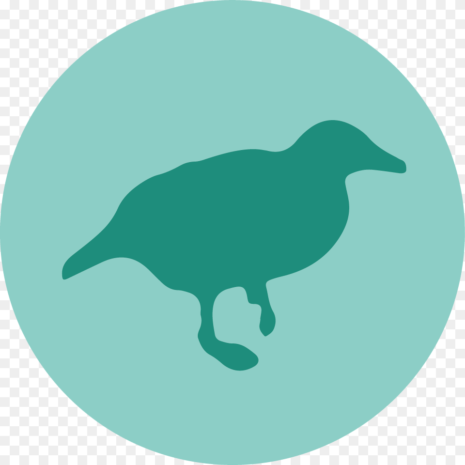 Weka Icon, Animal, Kangaroo, Mammal, Bird Free Transparent Png