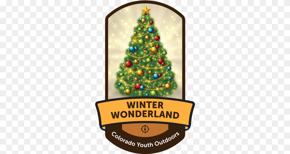 Welcome Colorado Youth Outdoors Winter Wonderland Colorado Youth Outdoors Christmas Lights, Tree, Plant, Food, Festival Free Png Download