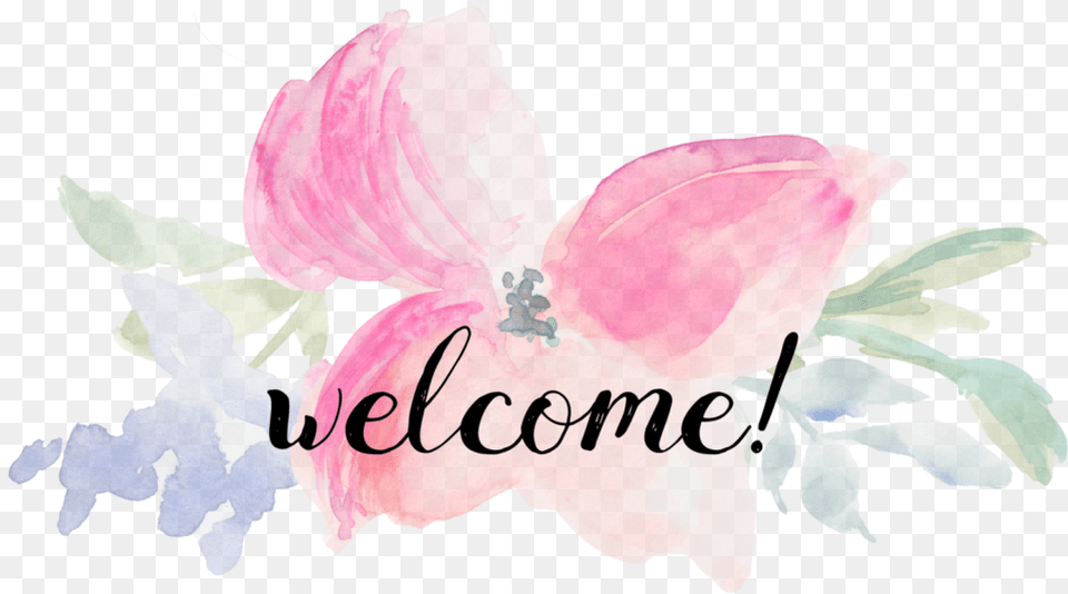Welcome Header Clip Art Stock Transparent Welcome Header, Flower, Petal, Plant, Rose Png