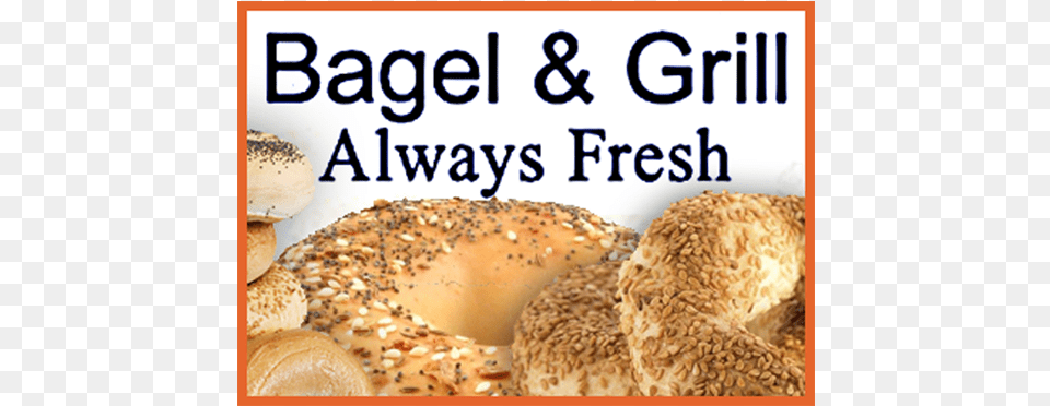 Welcome To Amplt Broadway Market, Bagel, Bread, Food Free Transparent Png