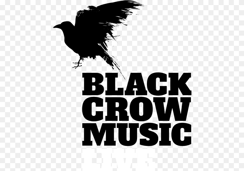 Welcome To Black Crow Music Chicken, Logo Free Png Download