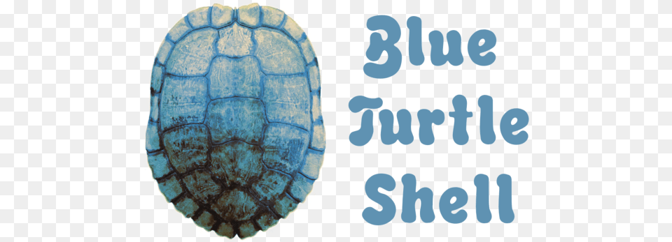 Welcome To Blue Turtle Shell Tortoise, Animal, Reptile, Sea Life Free Transparent Png