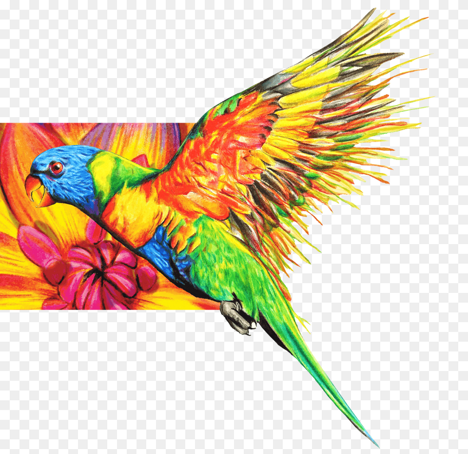 Welcome To Chameleon Art Products Chameleon Pens, Animal, Bird, Parrot Png