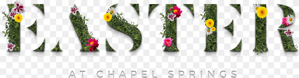 Welcome To Easter At Chapel Springs Church Rose, Flower, Flower Arrangement, Petal, Plant Png Image
