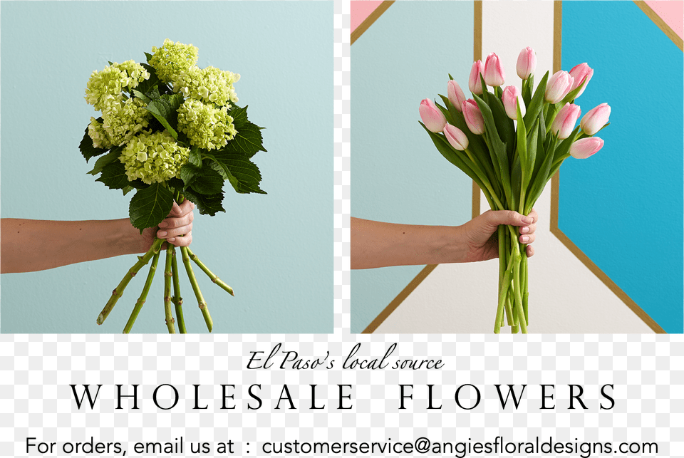 Welcome To El Paso39s Premier Wholesale Flowers By Angie39s Bouquet, Flower Bouquet, Pattern, Graphics, Plant Png Image