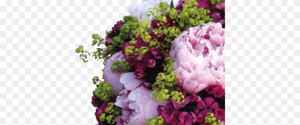 Welcome To Kaye Souter Flowers Bouquet, Art, Flower, Flower Arrangement, Flower Bouquet Free Png