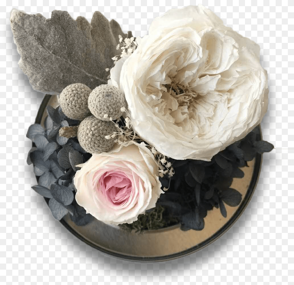 Welcome To Kruse Preserved Flowers Garden Roses, Rose, Plant, Flower Bouquet, Flower Arrangement Free Transparent Png