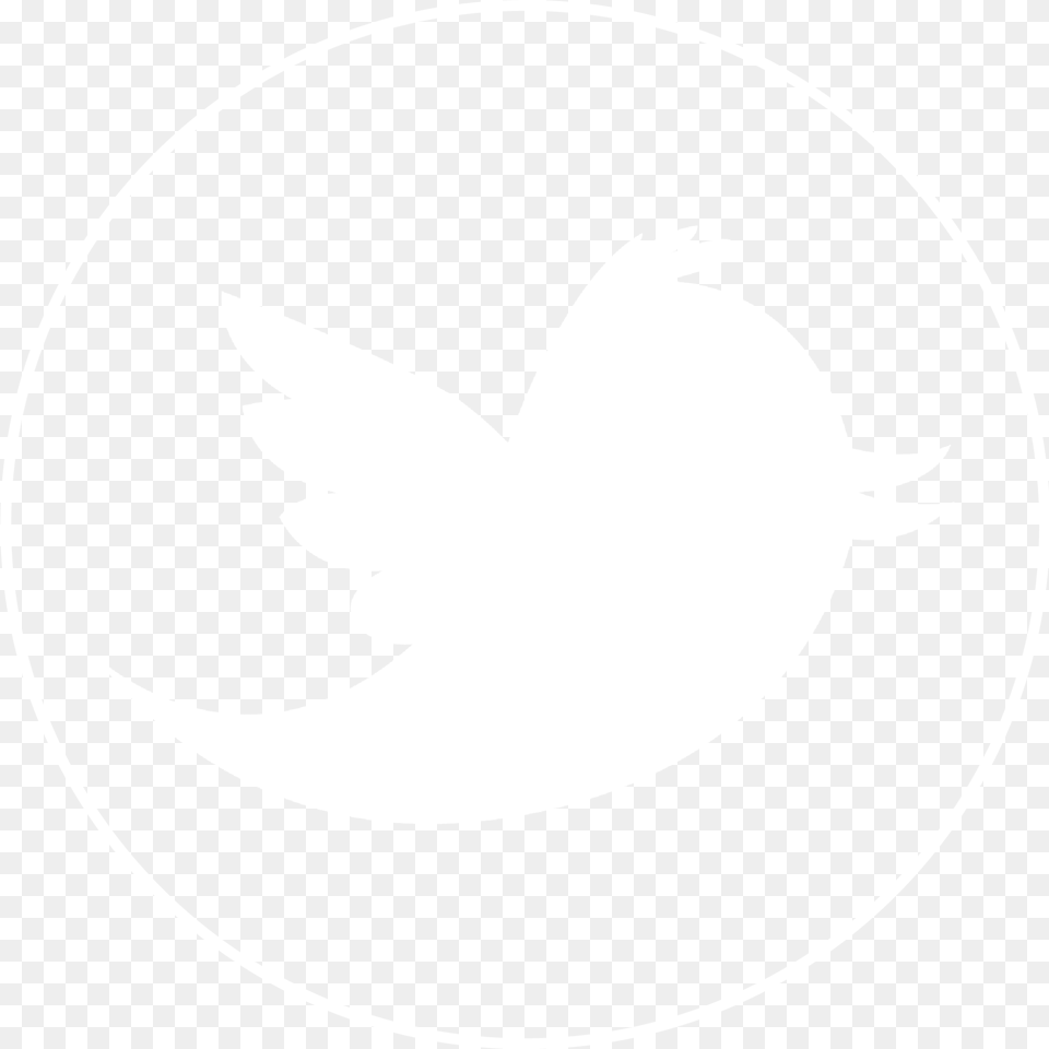 Welcome To Lex Twitter Logo Black Outline Twitter Bird, Animal, Fish, Sea Life, Shark Free Png Download