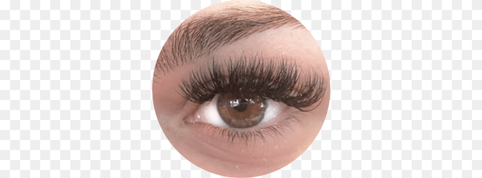 Welcome To Luxx Lash Salon Amp Boutique Volume Eyelash Extensions, Baby, Person, Contact Lens, Cosmetics Png Image
