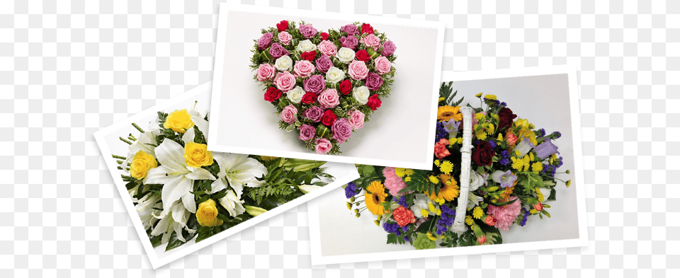 Welcome To Make My Day Flowers Moss Rose Purslane, Flower Bouquet, Plant, Flower, Flower Arrangement Free Png