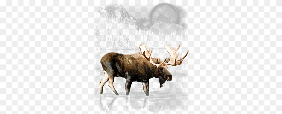 Welcome To Moose Country Mousepad, Animal, Mammal, Wildlife, Antelope Free Transparent Png