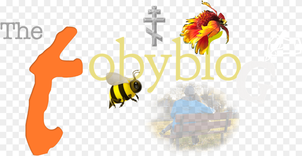 Welcome To My Blog Honeybee, Furniture, Bench, Adult, Person Free Png