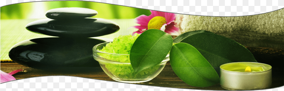 Welcome To Northshore Nails And Day Spa Estetica Y Bienestar, Herbal, Herbs, Plant, Leaf Png Image