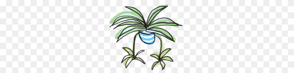 Welcome To Spiderplant Houseplant Shop, Palm Tree, Plant, Tree, Pattern Free Png Download