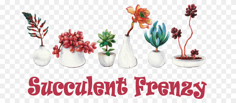 Welcome To Succulent Frenzy Online Store Succulents Online Store, Art, Pottery, Plant, Jar Free Transparent Png
