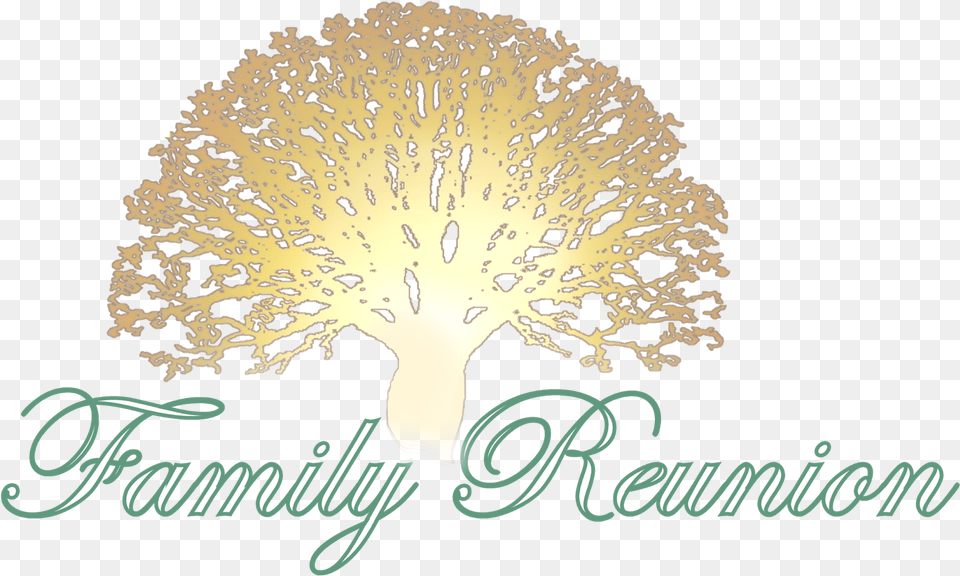 Welcome To The 2018 Ligon Family Reunion Website Family Reunion Background, Plant, Tree, Food, Produce Free Png Download