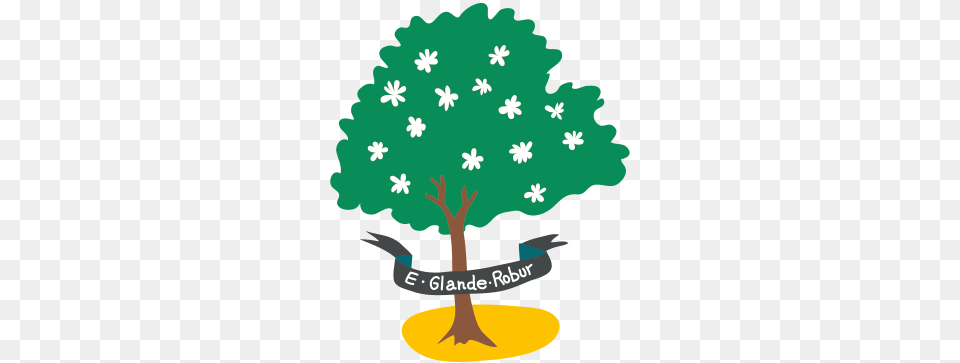 Welcome To The Grange School Hartford One Of The Country, Plant, Tree, Leaf, Oak Free Transparent Png