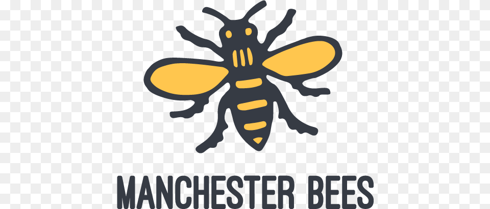 Welcome To The Manchester Bees Dedicated To Celebrating Boddington Bee, Animal, Invertebrate, Insect, Honey Bee Png Image