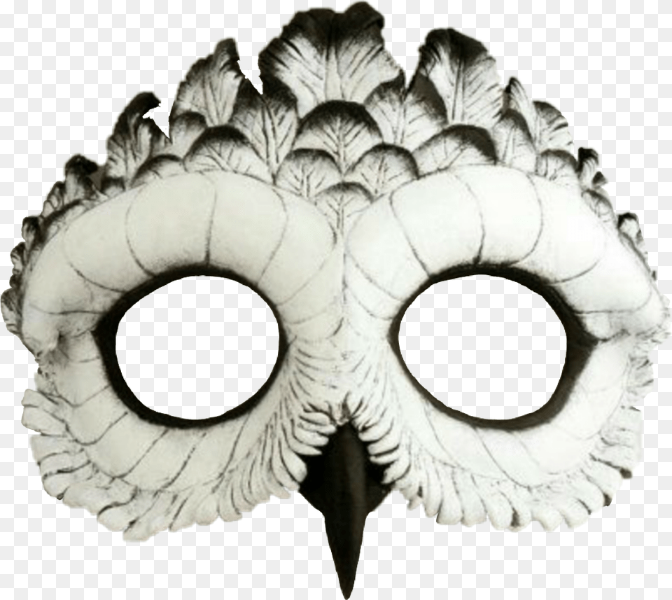 Welcome To The Masquerade Owl Mask, Plant Png