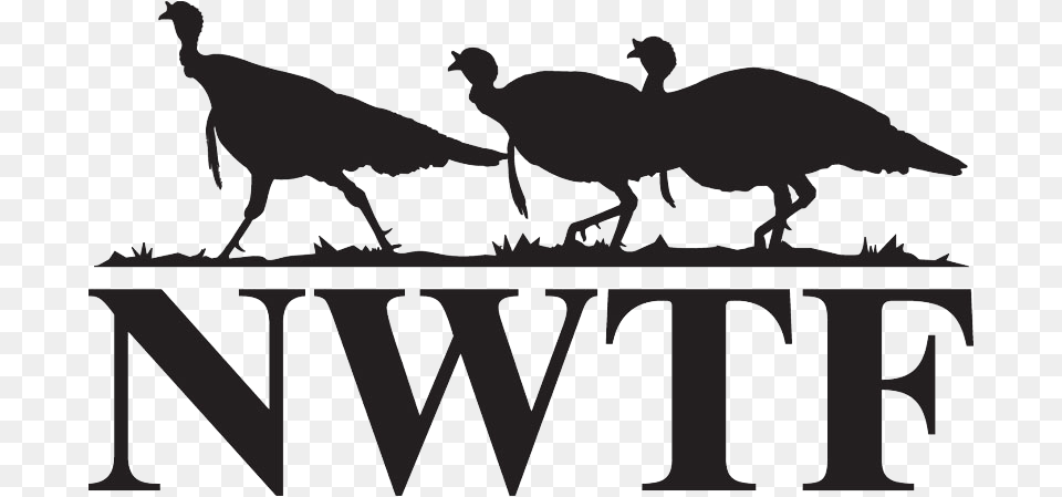 Welcome To The National Wild Turkey Federation National Wildlife Turkey Federation, Silhouette, Animal, Bird, Stencil Free Png
