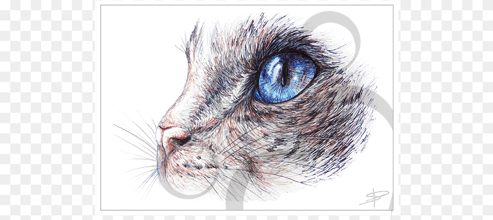 Welcome To The Paw Prints Online Store Library, Art, Drawing, Animal, Bird Free Png