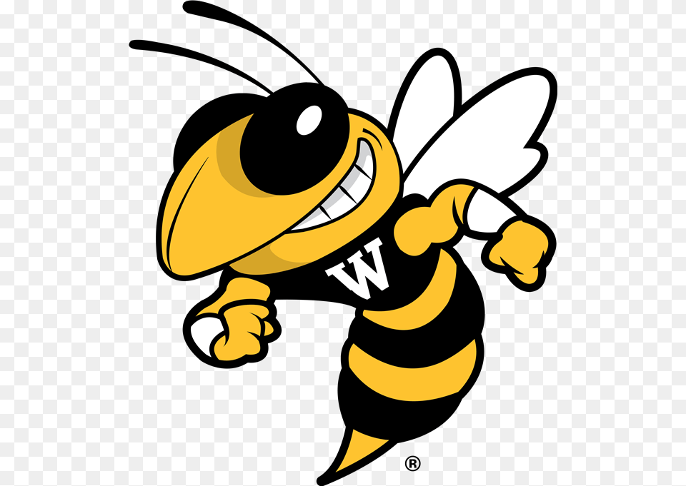 Welcome To Wilson Middle School Oxnard High School Yellow Jacket, Animal, Invertebrate, Insect, Honey Bee Png Image