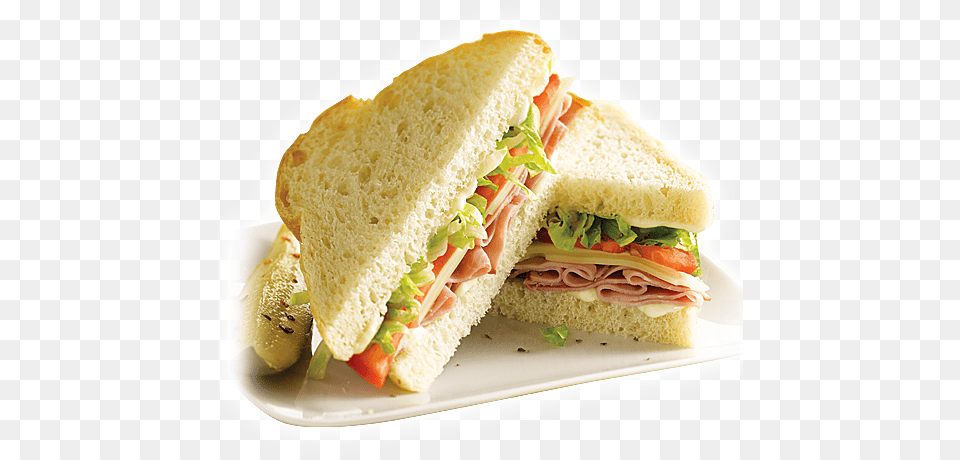 Welcome To Your Sandwich World Veg Cheese Sandwich, Food, Lunch, Meal Png Image