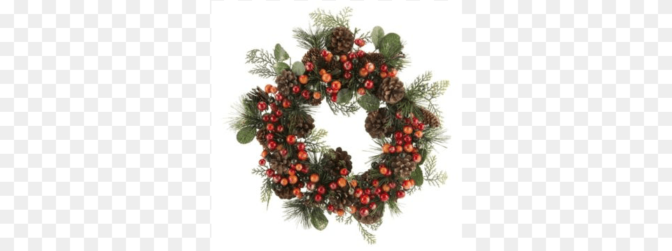 Welcome Your Guests To The Door With This Beautiful Christmas Day, Wreath, Plant Free Transparent Png