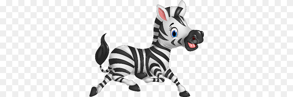 Welcome Zebra, Baby, Person, Animal, Mammal Png Image