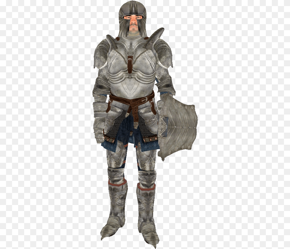 Well If You Are Talking About Oblivion What About This Elder Scrolls Oblivion Steel Armor, Adult, Male, Man, Person Png Image