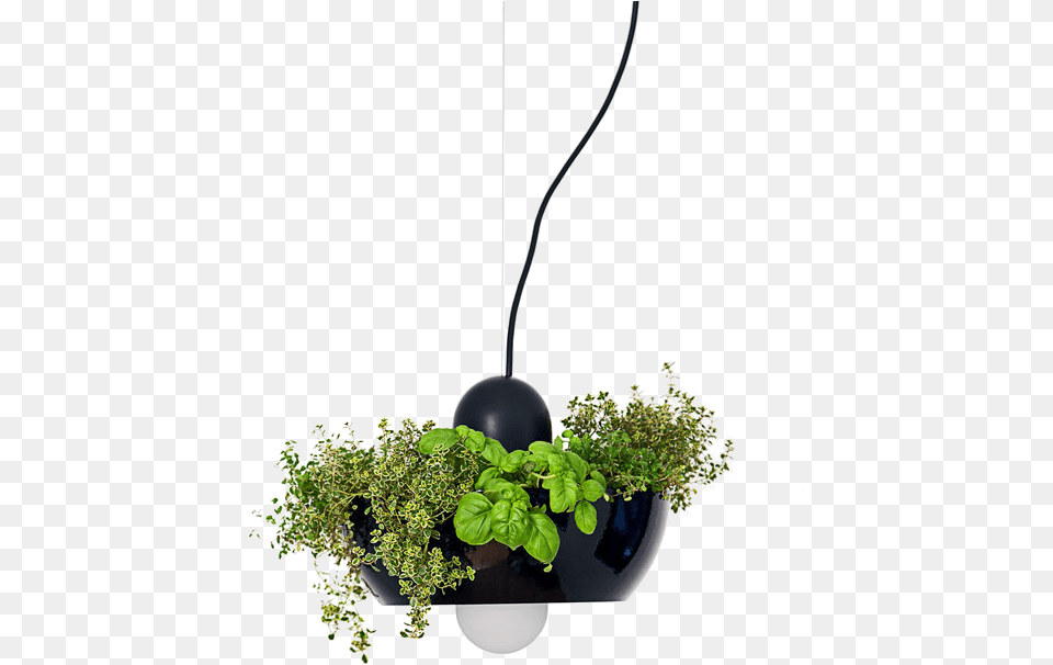 Well Light In Black Shade And Gloss Black Ring By Ryan Kitchen Light Fixture Planter, Vase, Plant, Potted Plant, Jar Free Transparent Png