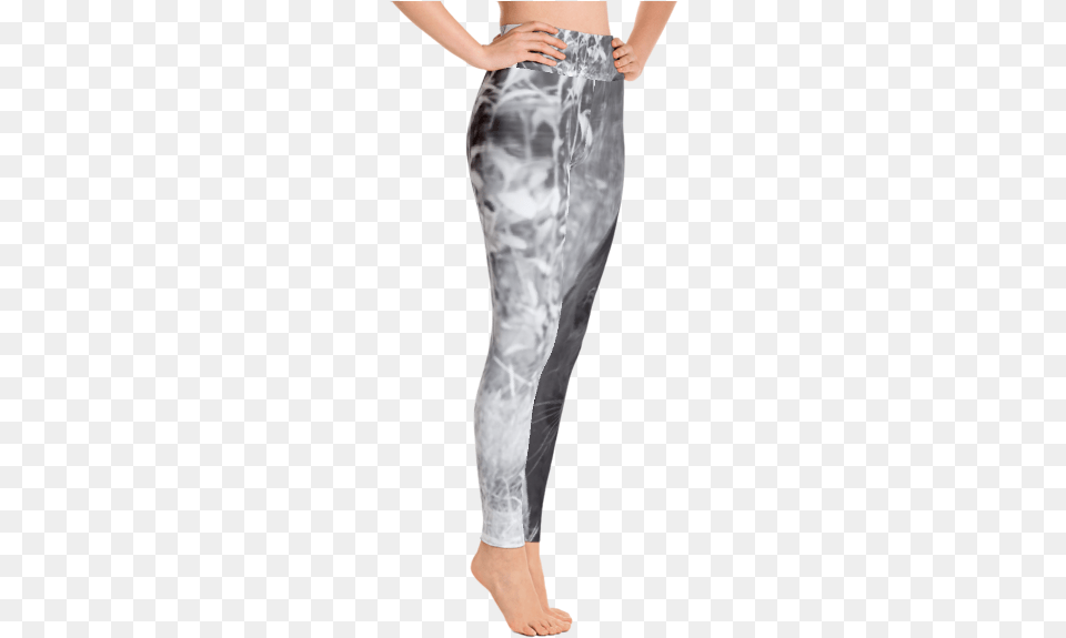 Well Liked Big Kat Yoga Pants By Black Kaps Leggings, Clothing, Adult, Female, Person Free Transparent Png