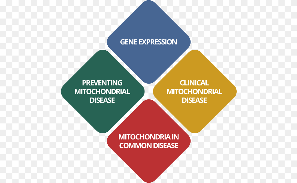 Wellcome Trust Centre For Mitochondrial Research Newcastle Uk, Text, Food, Ketchup Free Png