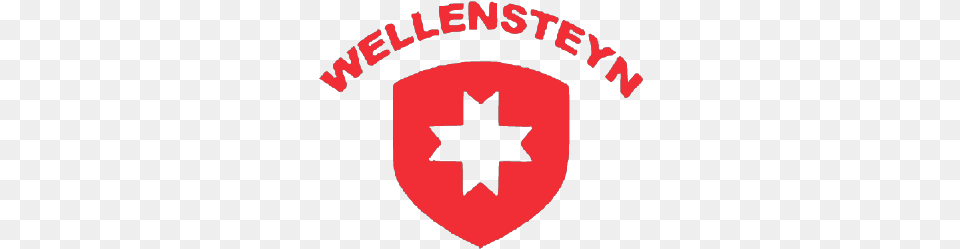 Wellensteyn Logo Decals By Marcc5r Community Gran Vertical, Symbol, Person Png Image