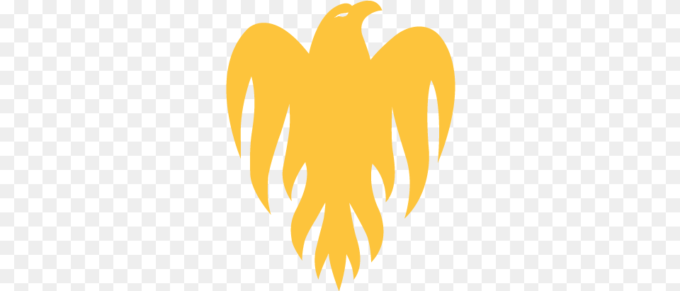 Wellington Firebirds Wellington Firebirds Logo Free Png Download