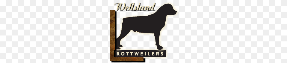 Wellslands Rottweilers, Silhouette, Animal, Canine, Dog Png