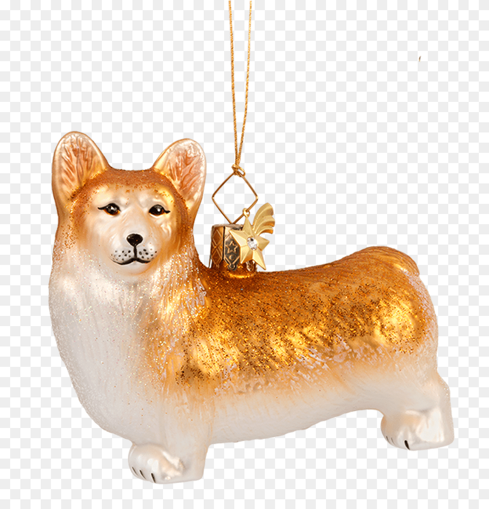 Welsh Corgi Pembroke Welsh Corgi, Accessories, Animal, Canine, Dog Png