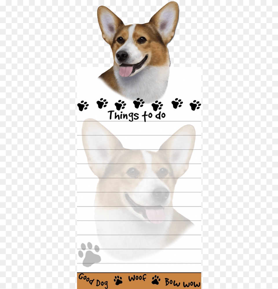 Welsh Corgi Pembroke Welsh Corgi, Animal, Canine, Dog, Mammal Png Image