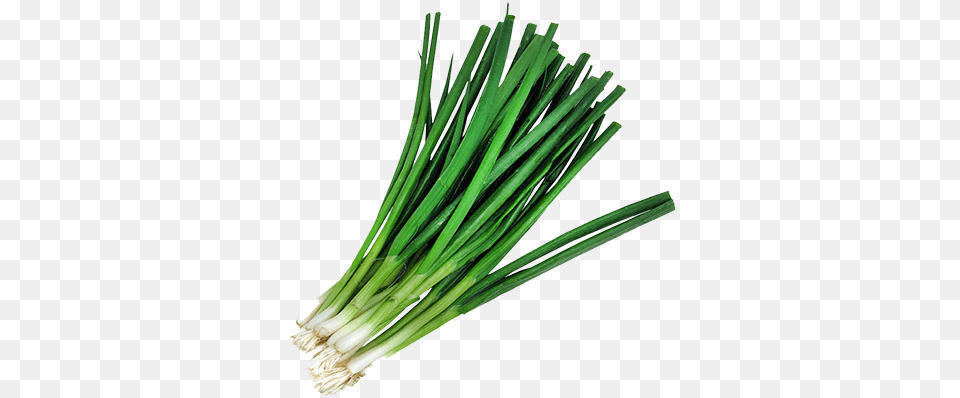 Welsh Onion, Food, Produce, Plant, Spring Onion Free Png