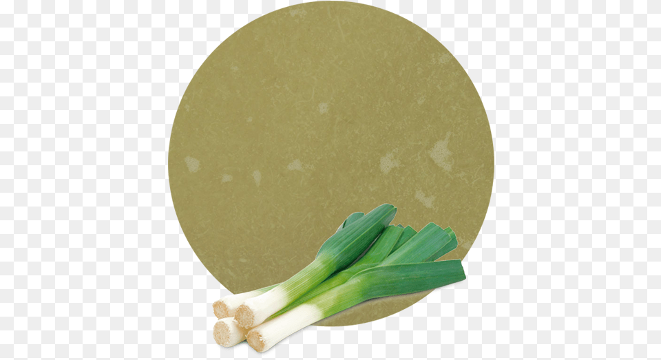 Welsh Onion, Food, Produce, Leek, Plant Free Png