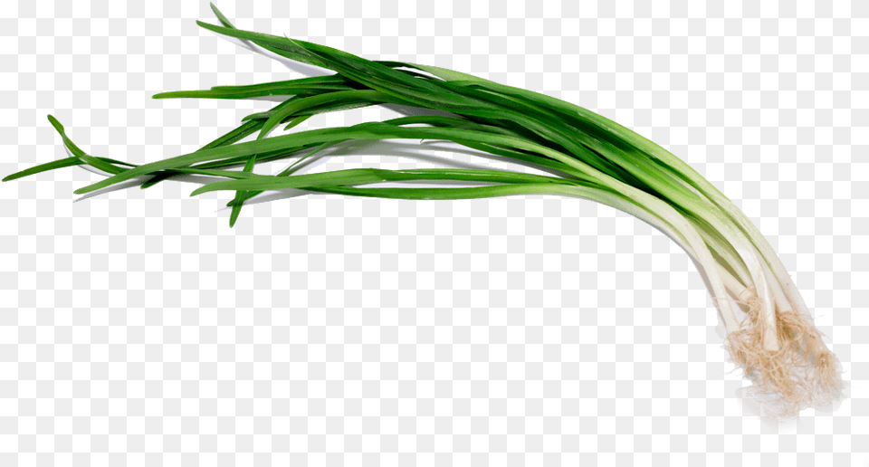 Welsh Onion, Food, Plant, Produce, Spring Onion Free Transparent Png