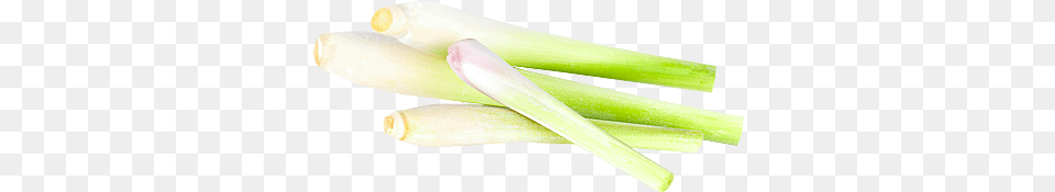 Welsh Onion, Food, Produce, Leek, Plant Png Image