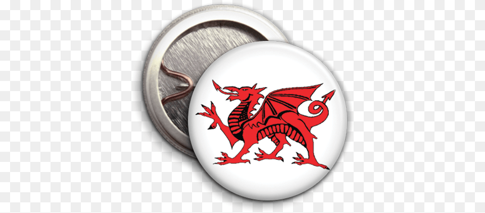 Welsh Red Dragon, Animal, Dinosaur, Reptile Png Image