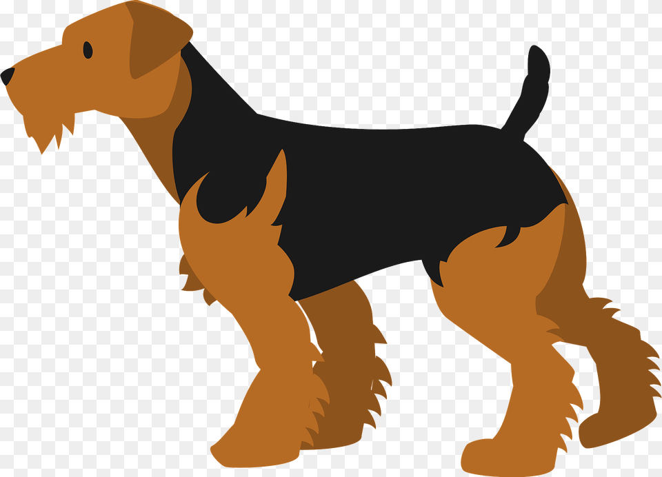Welsh Terrier Dog Clipart, Pet, Mammal, Canine, Animal Free Png Download