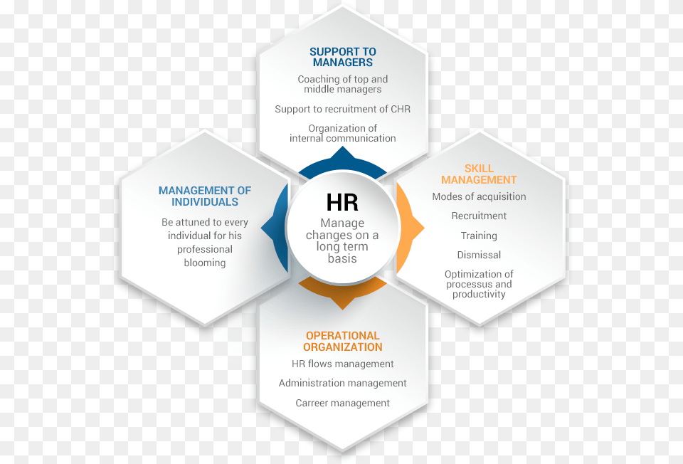 Wennev Human Resources Gestion Des Ressources Humaines Schma, Paper, Advertisement, Poster, Text Free Transparent Png