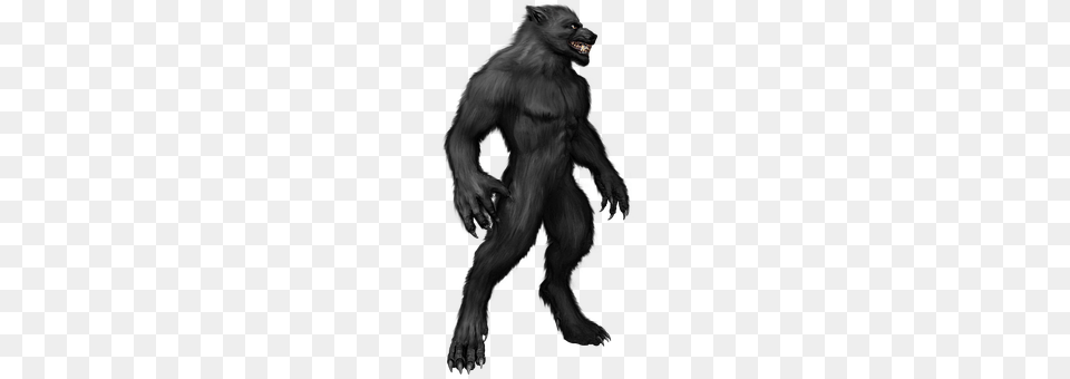 Werewolf Animal, Ape, Mammal, Wildlife Png
